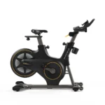 Matrix ICR50 Indoor Cycle